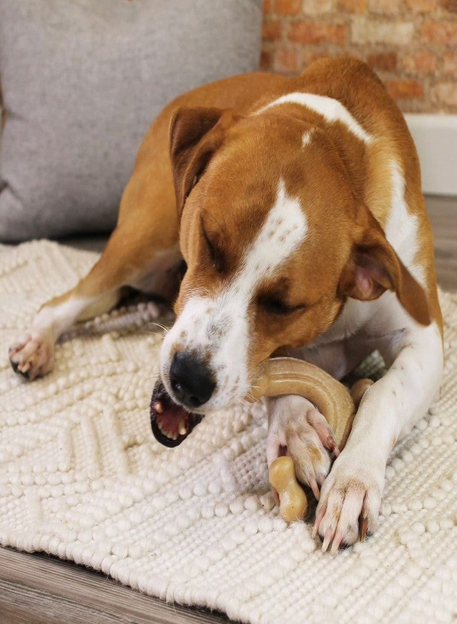 Nylabone Gourmet Style Wishbone Strong Chew Toy for Dogs, Chicken Flavor, Large - Up to 50 lbs, 1 Count - Image 3